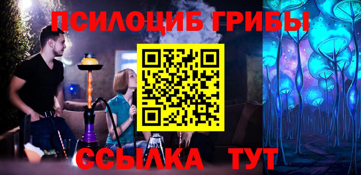 Псилоцибиновые грибы Magic Shrooms  Вход с VPN  Тольятти  Псилоцибиновые грибы прущие грибы 