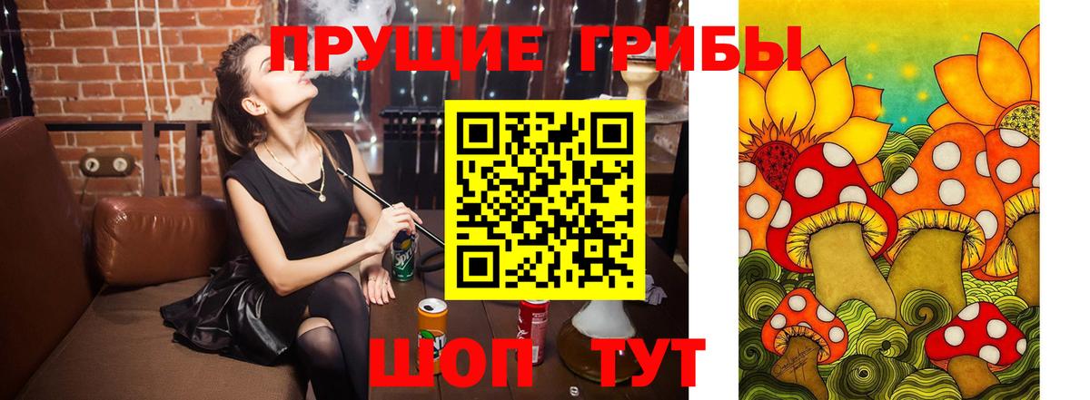 Галлюциногенные грибы MAGIC MUSHROOMS Тольятти